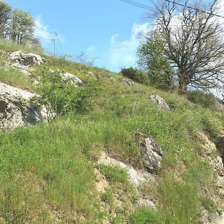 Gite Les Cadichons De La Grange Saint-Péray Eksteriør billede