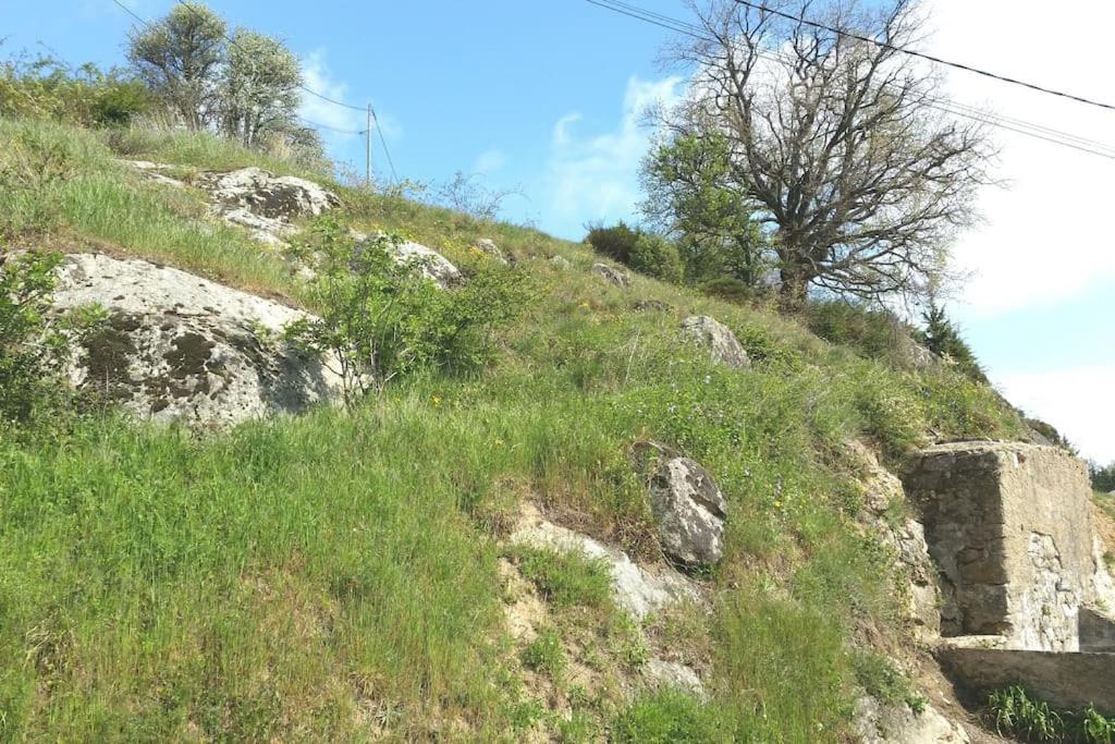 Gite Les Cadichons De La Grange Saint-Péray Eksteriør billede