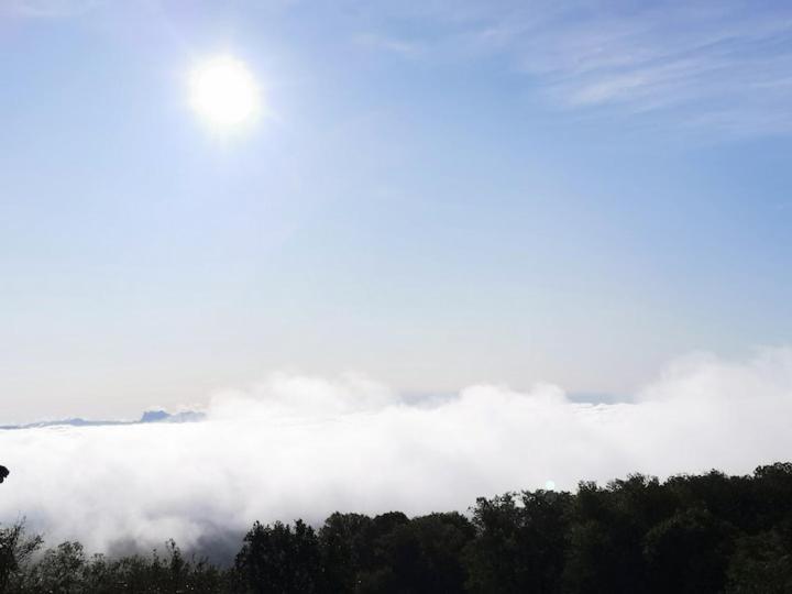 Gite Les Cadichons De La Grange Saint-Péray Eksteriør billede