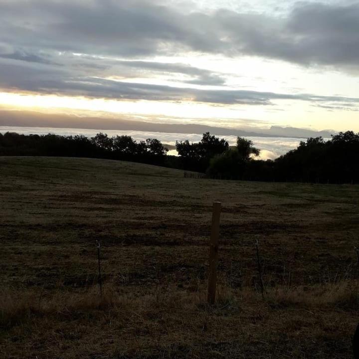 Gite Les Cadichons De La Grange Saint-Péray Eksteriør billede